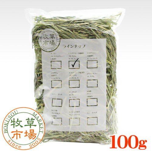 Ծ US⥷1ִʥץߥ ֥ץ쥹  100g