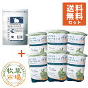 バニーセレクション スーパーシニア 1.3kg + ◆令和6年度産新刈り◆牧草市場 スーパープレミアムチモシー1番刈り牧草 3kg 送料込セット