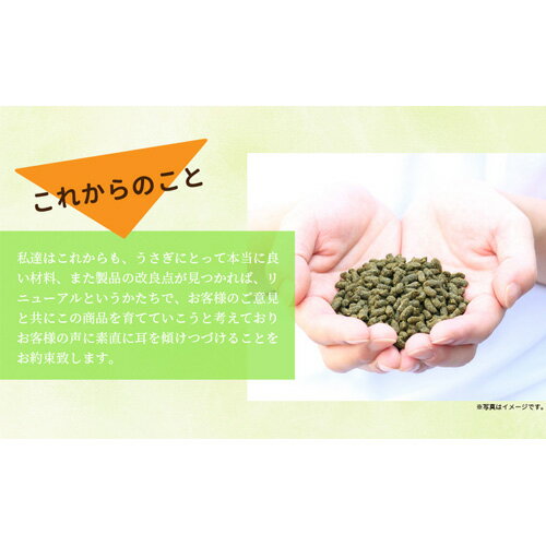 �ڴ��ָ��ꥹ�ڥ���륭���ڡ���ۡ�1�Ĥ������Ǥ�����������1kg(500g��2��)�ץ쥼��ȡ�������Ծ� �����ѡ���ӥåȥա��� ���ƥʥ� 1.2kg