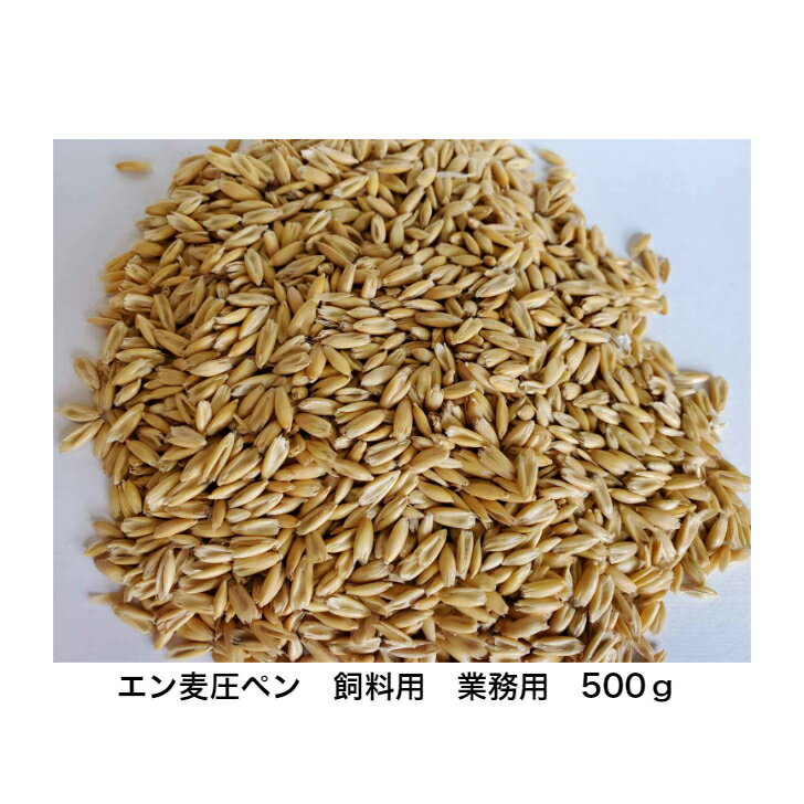 プレミアムエン麦圧ペン 500g競走馬 競馬場 飼料 業務用 馬 牛 豚 ヤギ 鳥 小動物