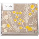 Taoyaka ミモザ バスタオル 60×120cm C6065548【メーカー直送】(3)