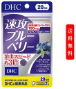 サプリ DHC 速攻ブルーベリー 40粒　20日分