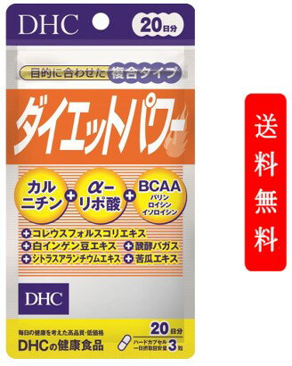 DHC ダイエットパワー 60粒 20日分 Lカルニチン＋αリポ酸＋BCAA配合のサプリメント