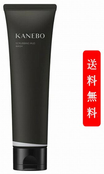 常盤薬品 SANA サナ ワセリズム モイスト泡洗顔 150ml