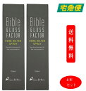 (2本セット)【正規品】Bible GLOSS FACTOR バイブルグロスファクター ハーブウォータースプレー 100ml バイブルグロスファクター スキンケア 化粧品 ヒト脂肪細胞 化粧水 ミスト