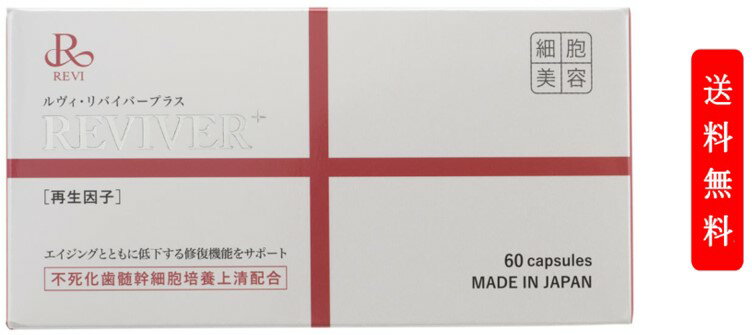 REVI ルヴィ リヴァイ　バープラス 60粒 健康食品 サプリメント ホームケア ホームエステ