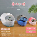 送料無料 亀の水槽 45*30.5*29CM 両生類 カメの楽園 飼育ケース ボックス 日向ぼっこ台 観察 排水孔 爬虫類 カメ生息地 大空間 大容量 耐久性 ...