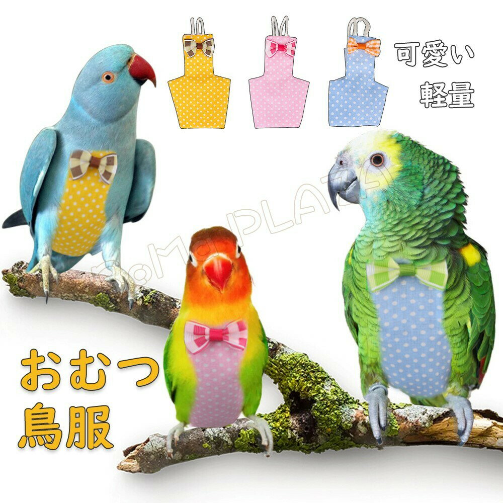 メール便で送料無料 鳥用おむつイ