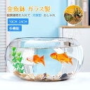 楽天BoMa PLAZA19cm 24cm 金魚鉢 ガラス製 透明 丸 鉢 和風 可愛い ミニ水槽 おしゃれ 多機能 観葉植物を入れて 万能ガラス容器 大容量 金魚 ベタ メダカ アカヒレなど 砂あび 砂場 砂あそび