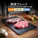 解凍プレート 業務用 まな板 急速解凍 解凍板 解凍ツール 肉 ホタテ 解凍まな板 自然解凍プレート冷凍食品 業務用家庭用 急速 食品解凍 肉 刺身 クリスマス...