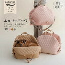 ペットキャリーバッグ ペット 犬 猫 キャリー バッグ 折りたたみ ペットトートバッグ ペットバッグ お出かけ バッグ 鞄 子犬 抱っこ紐 小型犬 トートキャリ...