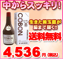 ŷ���������COBON