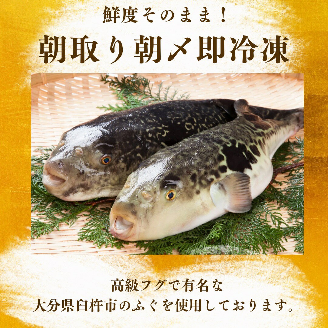 【ふぐの王様】 とらふぐ ふぐちり鍋セット 朝獲れ活締め 急速冷凍 トラフグ 虎河...