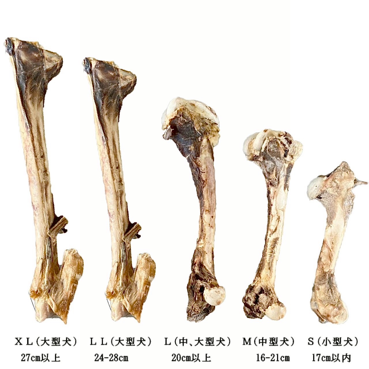 �ڥåȥա��ɸ���� �� �� ̵ź�� �� ������ �淿�� �緿�� ����å��ܡ��� ­�� ����ƥ�ե꡼ ���� ���Τ���� ����