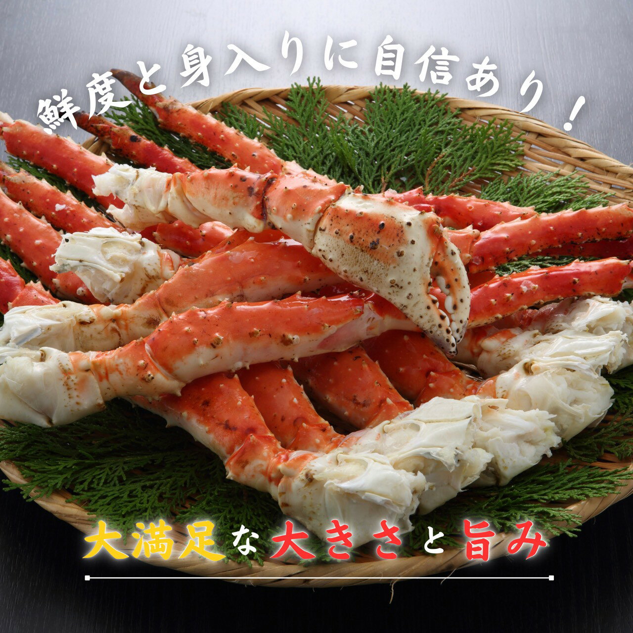 サンプル画像3