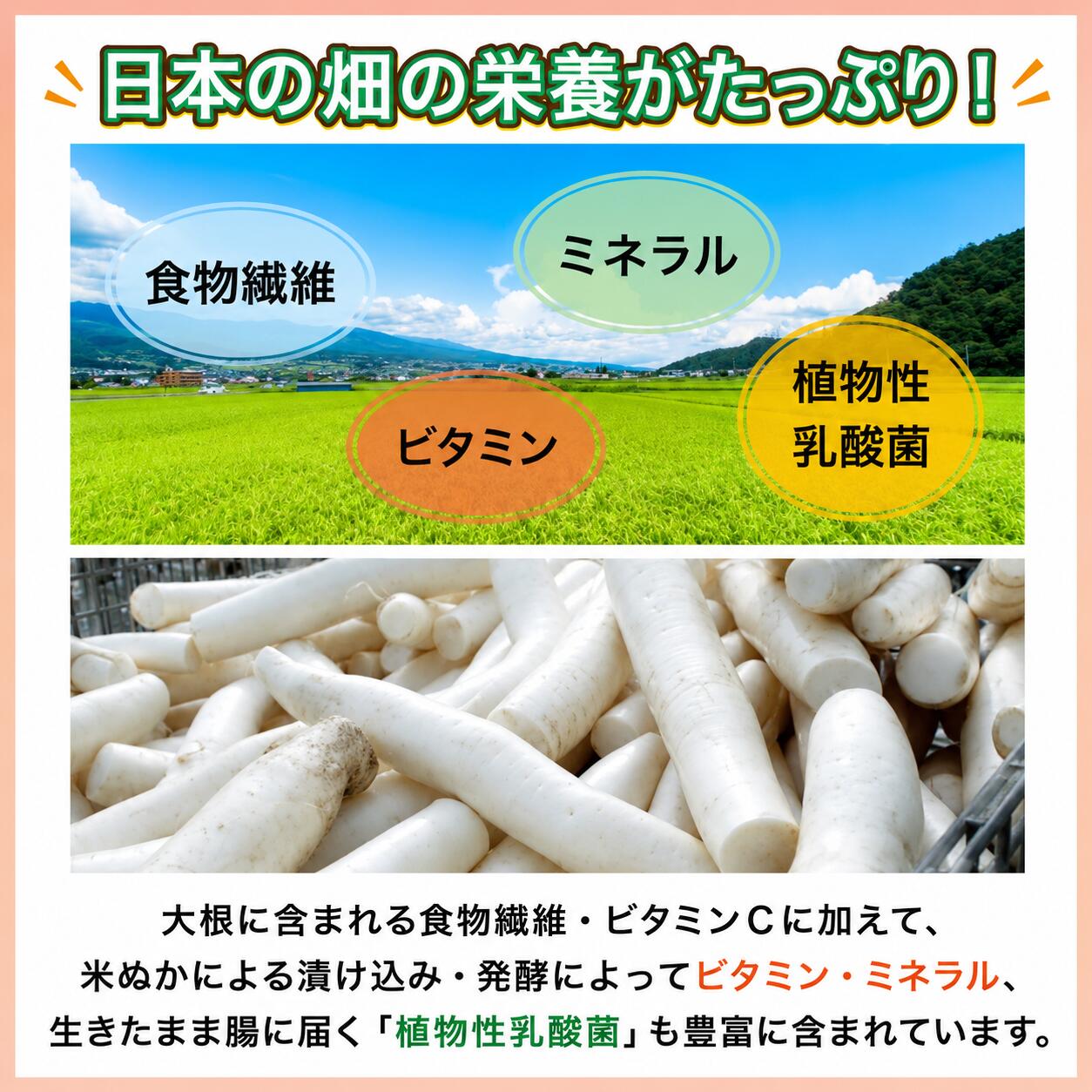 【新物】【送料無料】いぶりがっこ セット 大綱食品 いぶりがっこ Lサイズ（300g程度） 燻製 漬物 チーズ 大根 秋田 お歳暮 お祝い お取り寄せグルメ 敬老の日 bon--shop-10000211 trendショップ楽天市場店 サンプル画像3