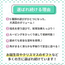 森のあそび箱 木製 知育 知育玩具 木琴 おもちゃ パズル 迷路 木のおもちゃ ビーズコースター 1歳半 2歳 3歳 赤ちゃん 子供 キッズ ルーピング 楽器 型はめパズル ブロック ギフト プレゼント GENI ジェニ エドインター ZST007119 3