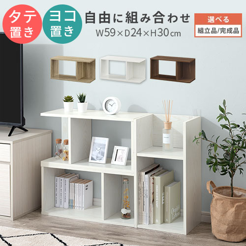 【組立品/完成品が選べる】 カラー