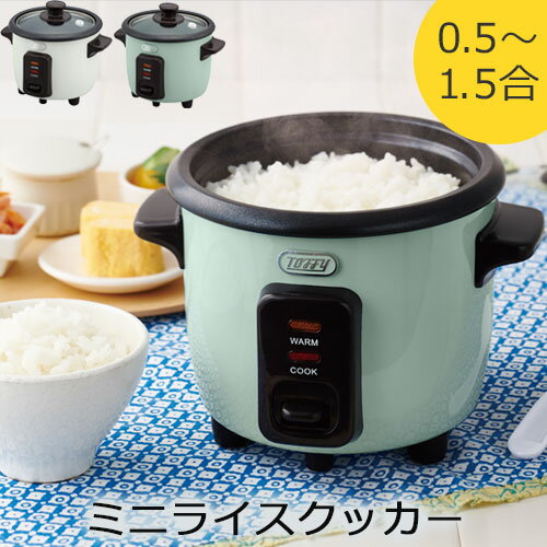 【ポイント5倍】 炊飯器 おしゃれ 