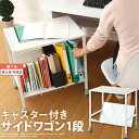 【組立品/完成品が選べる】 ファイ