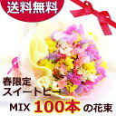 【送料無料】お届け期間限定！スイートピーミックス100本の花束【あす楽対応】 [花束]