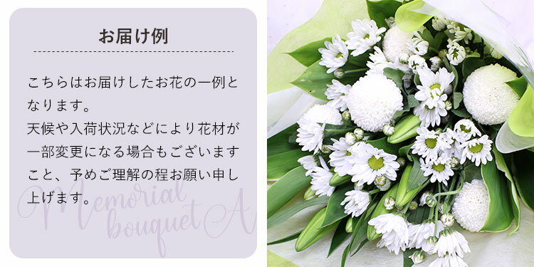 ���ꥢ��֡���A���ڤ������б��� [��«]