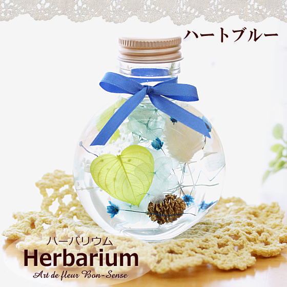 「コロン」ハーバリウム ギフト 花 ドライフラワー プリザーブドフラワー 植物標本...