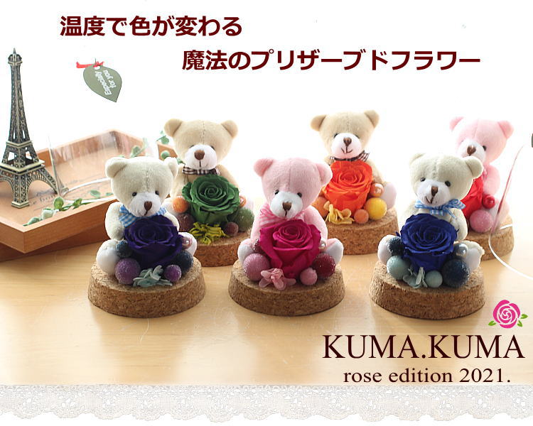 送料無料 温度で色が変わるッ★魔法のプリザーブドフラワー バラ （KUMA・KUMA）ドーム【RCP】花 フラワー プレゼント テレビ で紹介♪ ギフト