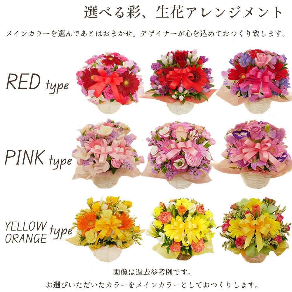 母の日 アレンジメント と 季節のフルーツ の セット 生花アレンジメント お花 フラワーギフト 静岡 クラウンメロン 高知 赤肉メロン 宮崎 完熟マンゴー 奈良 3色イチゴパック プレゼント 果物 誕生日 花 お祝い 御祝 御礼 感謝 御供 お供え 供物 記念日 サプライズ 【BO】