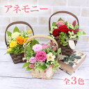 プリザーブドフラワー 誕生日 お祝い 入学 卒業 新生活 開店祝い 記念日 結婚祝い お誕生日 プレゼント ギフト プレゼント 母の日 「アネモニー」 選べる3...
