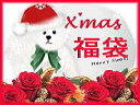 クリスマス限定プリザーブ福袋【宝1クリスマス★セール】