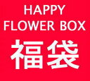 お花に囲まれたお正月を♪超特大!お花屋さんの夢福袋