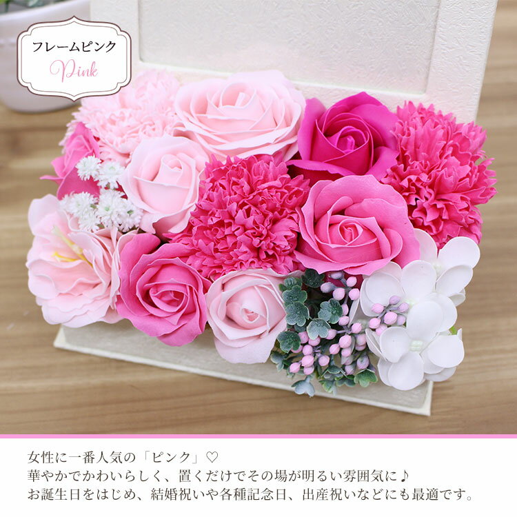 �֥ե��ȥե졼�� �ե��ܥå����� �������ץ쥼��� [�����ץե�] ����ܥ�ե� ���ե� �ץ쥼��� �̿�Ω�� ��Ϸ���� �Х� �����͡������ ������ �뺧�� �л��� �뺧��ǰ�� �࿦ ���޲� ���̲� �Ŵ� ��� ȯɽ�� ´�� ��Ź ���۽� �ڥå� ������ ������