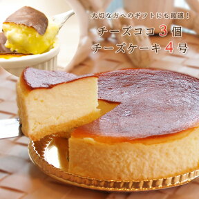 【お世話になってるあの方へ】チーズケーキ2種食べ比べお試しSET！【送料込み】【ギフト】新感覚Hot＆Coolのスィーツ♪ふわとろチーズケーキ4号＆あったか新食感チーズココ3個入り お誕生日 チーズケーキ 母の日 残暑お見舞い 記念日 お盆 お中元