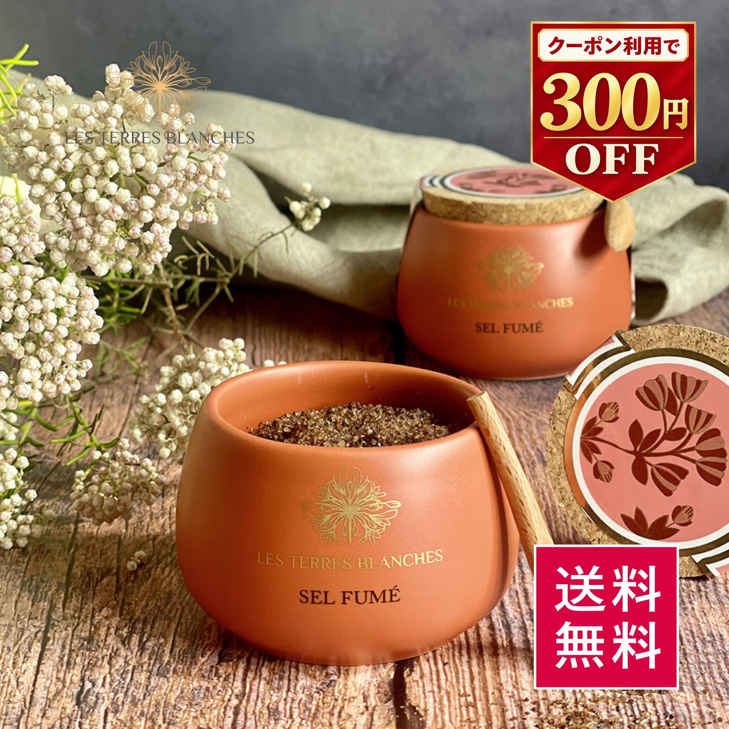【公式】レ テール ブランシュ スモークソルト 100g 【300円OFFクーポン】フランス産 高級塩 天然塩 燻製塩 塩 残暑見舞い 敬老の日 ギフト プレゼント 手土産 帰省土産 ステーキ BBQ キャンプ 肉料理 高級調味料 高級 調味料 Fleur de Sel