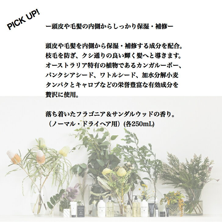 【公式】ボンダイウォッシュ BWNRコンディショナー（ナリッシング）250mL オーガニック ボタニカル ナチュラル ノンシリコン ノンケミカル 植物由来成分 無添加 コンディショナー オーガニックコスメ ヘアケア ダメージ 髪 保湿 アメニティー bondiwash