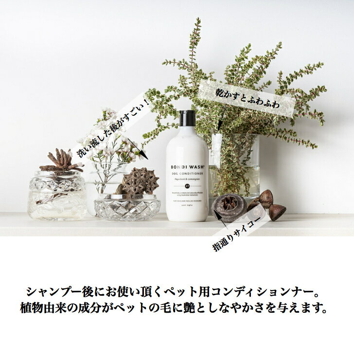 �ڸ����ۥܥ���������å��� �ɥå�����ǥ�����ʡ� �ڥ��ѡ��С���&���󥰥饹 500mL �������˥å� �ܥ��˥��� �ʥ����� ��ʪͳ����ʬ ŷ������ ̵ź�� �� �ȥ�ߥ� �����󥷥��ס� ���ѥ����ס� �Ҵ�ȩ ���ե� bondi wash