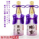 喜寿 祝い 日本酒 梅酒 名入れ ペアボトル『紫のちゃんちゃんこを着た 名入れラベル酒』<純米大吟醸とすっきり梅酒のセット>【白ボトル お酒 喜寿祝い プレゼン...