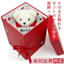 還暦祝い 女性 プレゼント 赤いちゃんちゃんこを着たテディベア『そのまま飾れるギフトボックス入り 還暦ベア』 <還暦祝い用メッセージカード付き> 【還暦 お祝い...