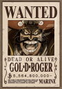 エンスカイ(ENSKY) ジグソーパズル ワンピース 懸賞金55億6480万ベリー GOLDROGER 18.2×25.7cm 208ピース 208-110