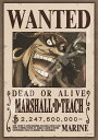 エンスカイ(ENSKY) ジグソーパズル ワンピース 懸賞金22億4760万ベリー MARSHALLDTEACH 18.2×25.7cm 208ピース 208-...