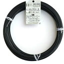 ダイドーハント (DAIDOHANT) 針金 ビニー ル被覆 カラーワイヤー ブラック ( 黒 ) 太さ #12 (2.6 mm x 長さ 38m 54061