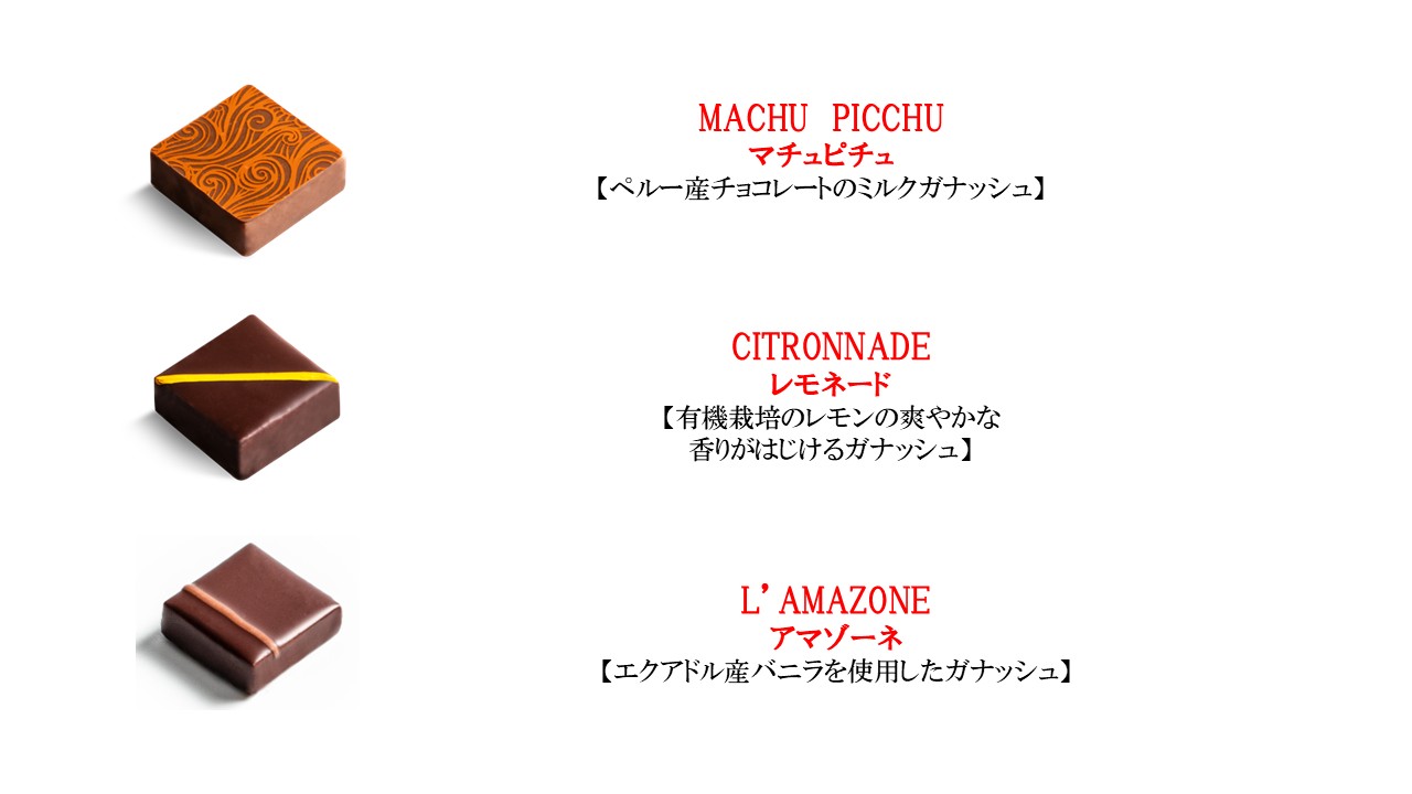 エドワート EDWART パリ 直輸入 ボンボンショコラ 2026 【9個入り】 フランス直輸入 ボンボン チョコレート プラリネ バレンタイン ギフト バレンタインチョコレート 高級 フランス チョコ ガナッシュ 高級チョコレート 高級チョコ おしゃれなお菓子 おしゃれチョコレート