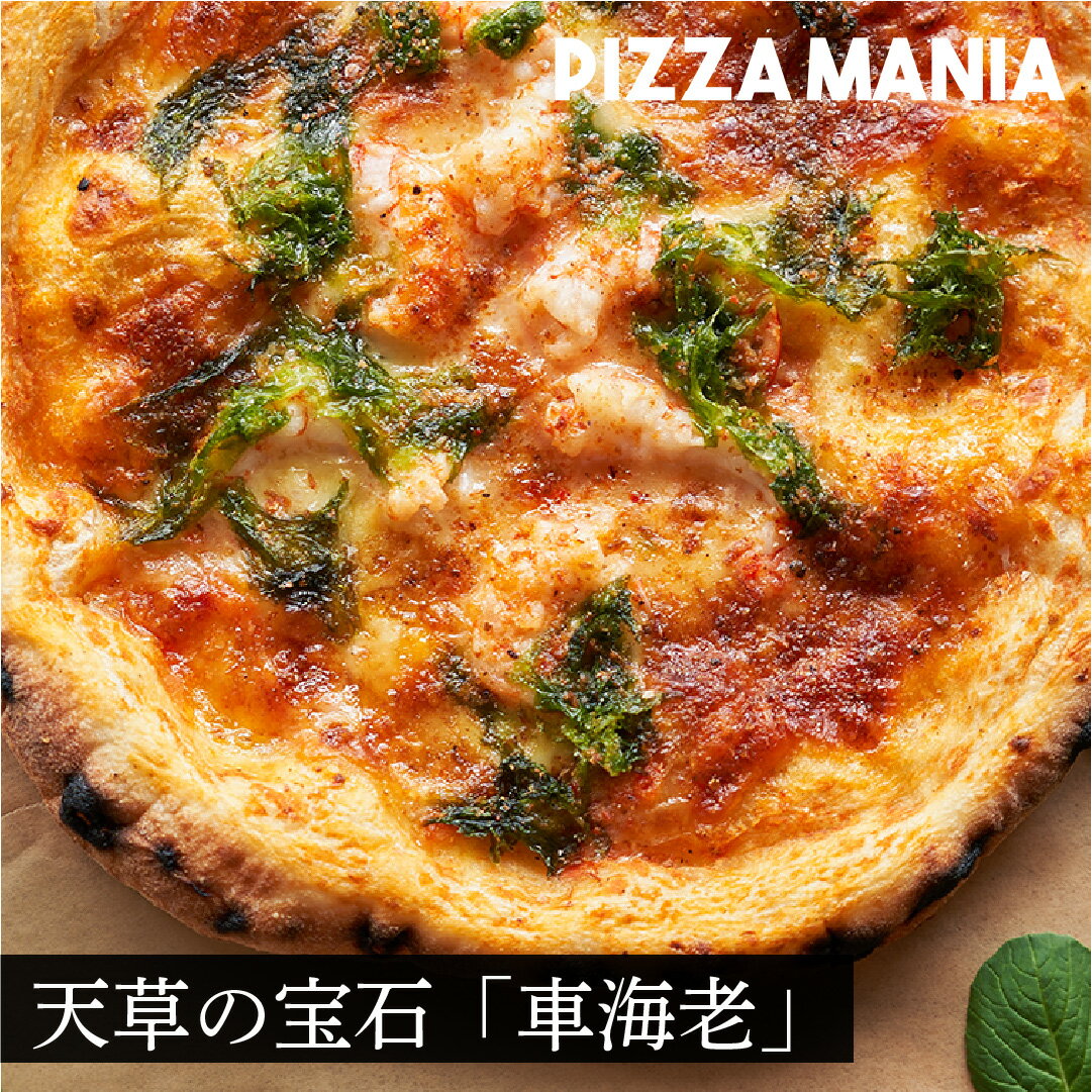 海の幸PIZZA「車海老」1枚 冷凍ピザ 誕生日 惣菜 ピザ pizza モチモチ トマトソース パーティ お昼