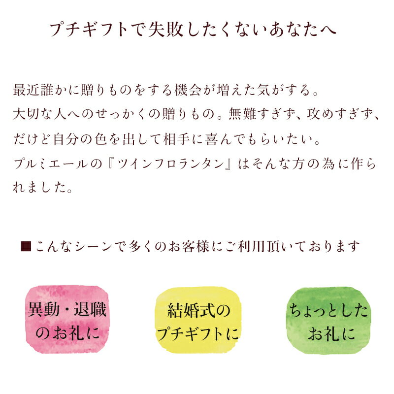 ツインフロランタン プチギフト ツイン缶 フロランタン4枚 お菓子のミカタ チョコレート缶 ★4個以上で送料無料★ お菓子 缶 クッキー 缶入り かわいい おしゃれ プレゼント ギフト 退職 異動 母の日 ウエディング バレンタイン チョコレート ホワイトデー お返し 小学生