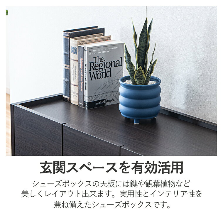 【10%offクーポン配布中 ~10/25】靴箱 シューズボックス キャビネット 完成品 大川...