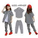 キッズダンス衣装 シャツ パンツ チェック 子供服 HIPHOP ヒップホップ ギンガムチェック 半袖シャツ 長ズボン ジャズ ストリート 原宿系 ダンス 衣装 キッズ 体操服 jazz 110-180