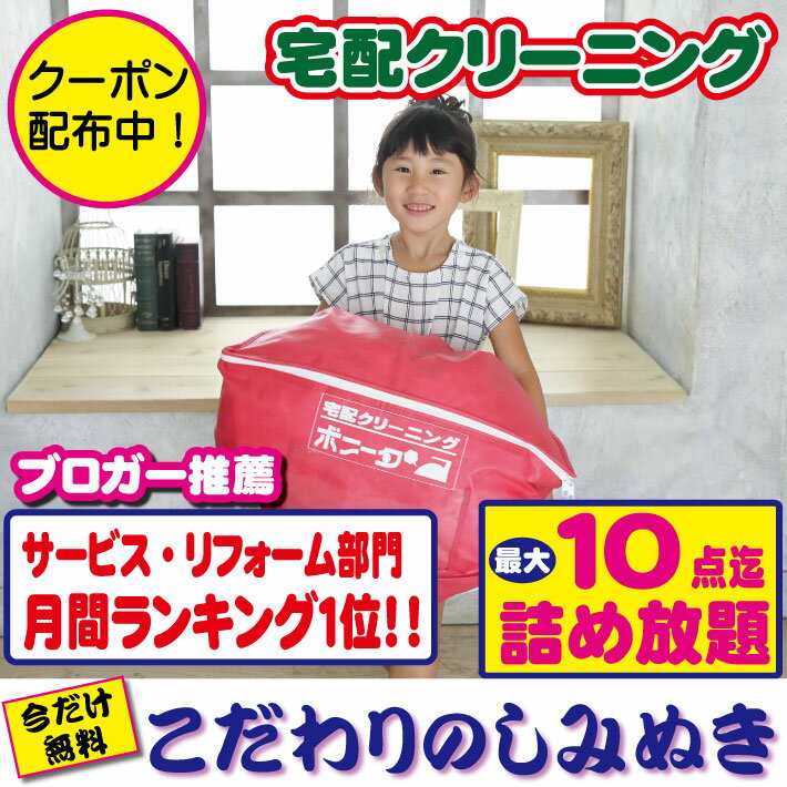 【マラソン限定1000円引きクーポン配布中】クリーニング 宅配 10点迄【送料無料】 今だけしみぬき無料 宅配 クリーニ…