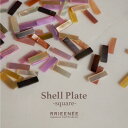 WFlC p[c A[g VF L N^OBonnail~rrieenee shell plate square @a0513