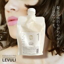 【P5倍マラソン期間限定還元】 ハホニコ レブリ インナー 【ヘアトリートメント】 1000g 美容室専売 つや髪 サロン専売品 ダメージ補修 アイロン 傷み 枝毛 保湿 ヘアケア 髪質 LEVULI HAHONICO PRO 1kg